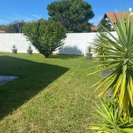 Belle Cosy Au Calme A 5 Minutes De Bayonne Et 15 Minutes Des Plages Villa Boucau